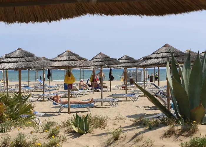 Leoni 3* ريميني